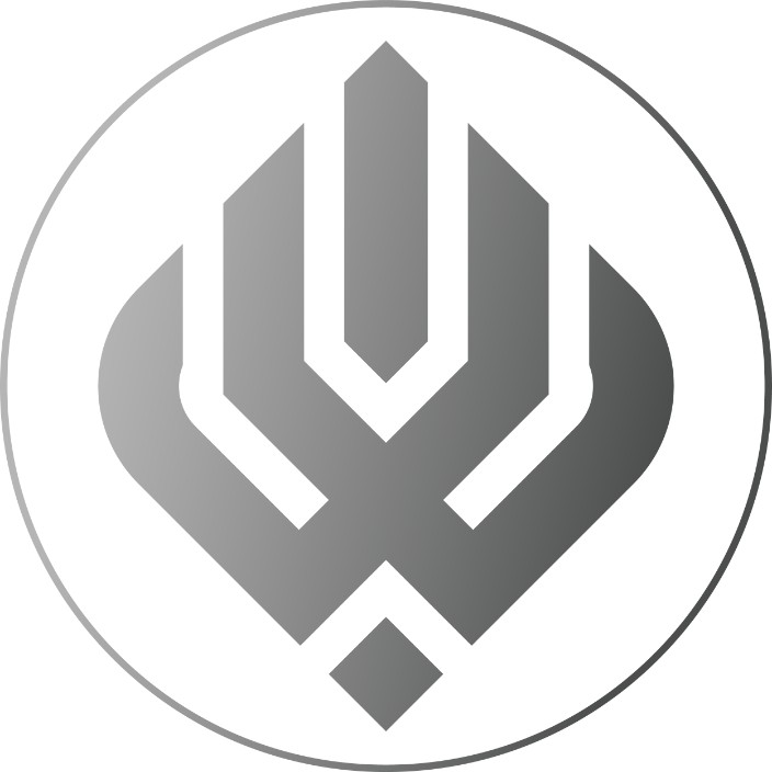 blockchainkingdom.eth Ethereum Name Service (ENS and .eth domain) PFP