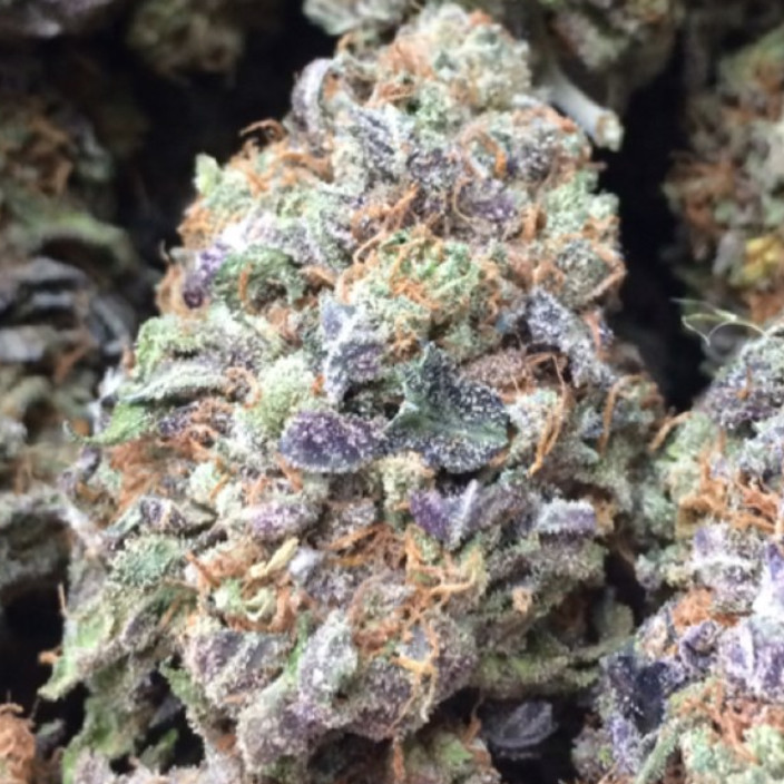 blueberryhaze.eth Ethereum Name Service (ENS and .eth domain) PFP