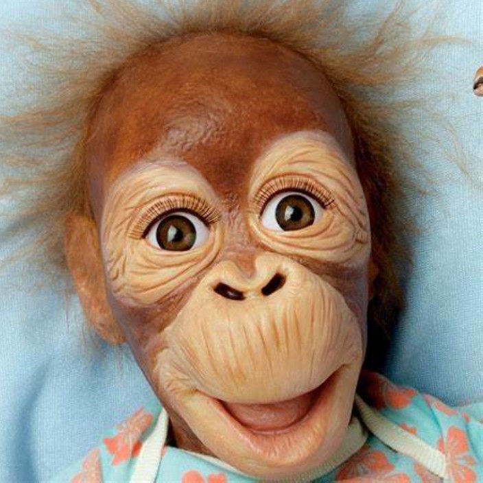 boredorangutan.eth Ethereum Name Service (ENS and .eth domain) PFP