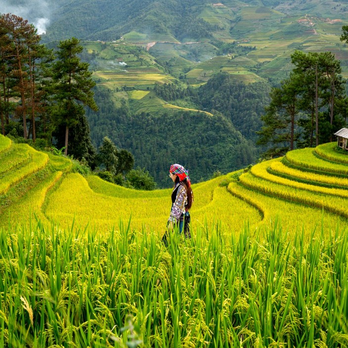 boringback.eth Ethereum Name Service (ENS and .eth domain) PFP