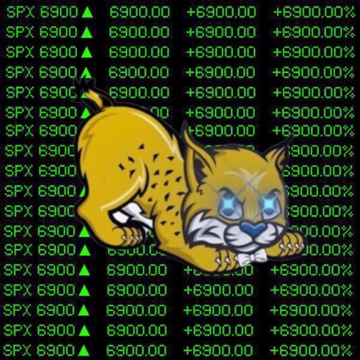 bowtiedbobcat.eth Ethereum Name Service (ENS and .eth domain) PFP