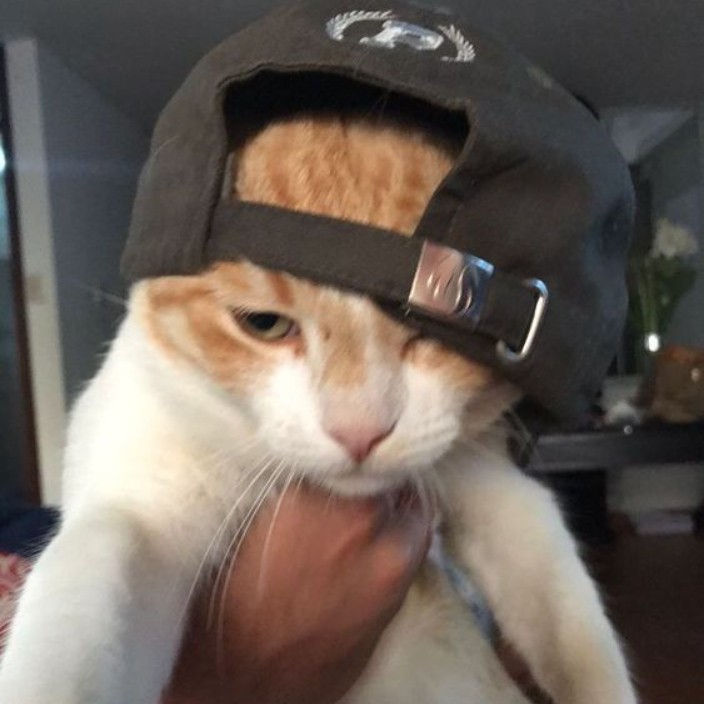 bredpittbull.eth Ethereum Name Service (ENS and .eth domain) PFP