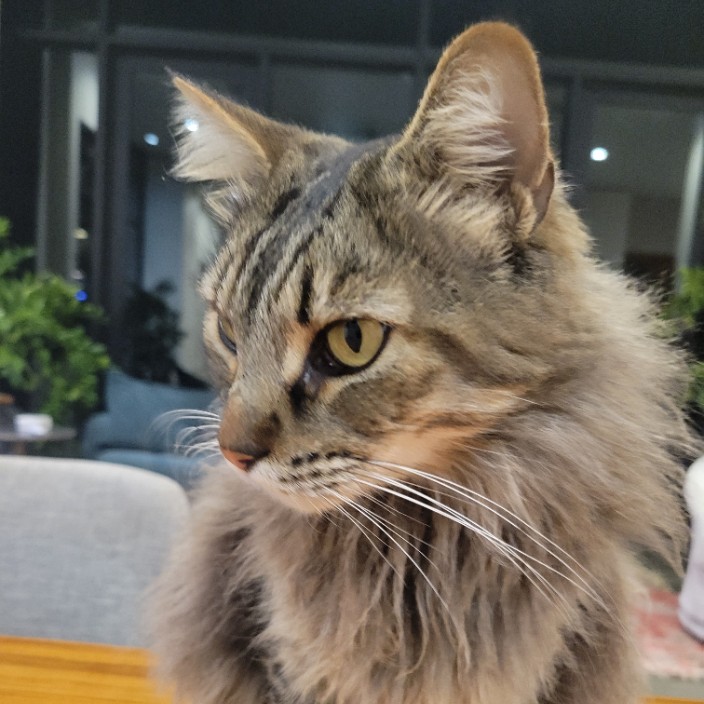 Stanzel Rock (brentbernard.eth) Ethereum Name Service (ENS and .eth domain) PFP