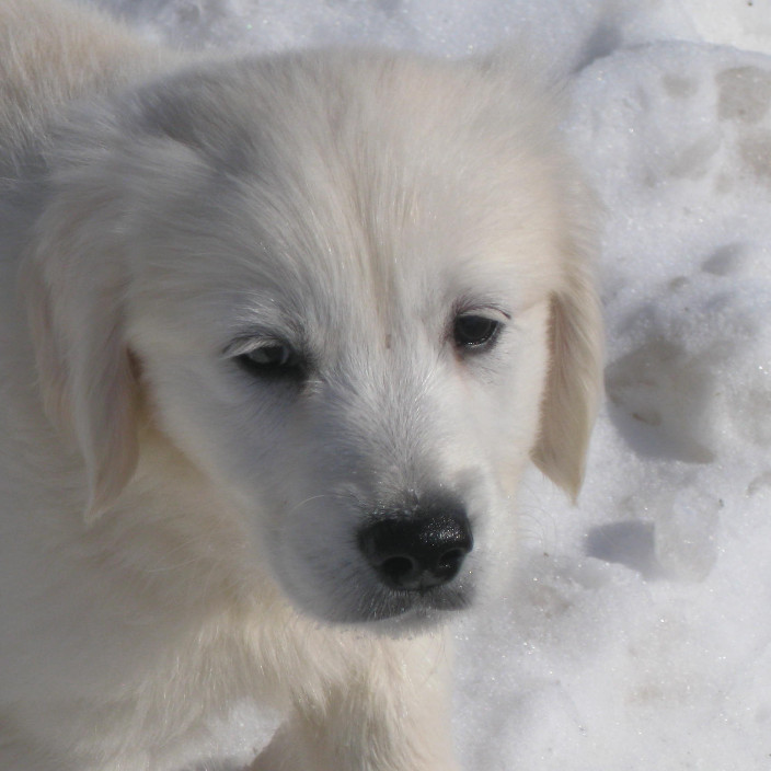 BrianfromNevada (brianwendy.eth) Ethereum Name Service (ENS and .eth domain) PFP