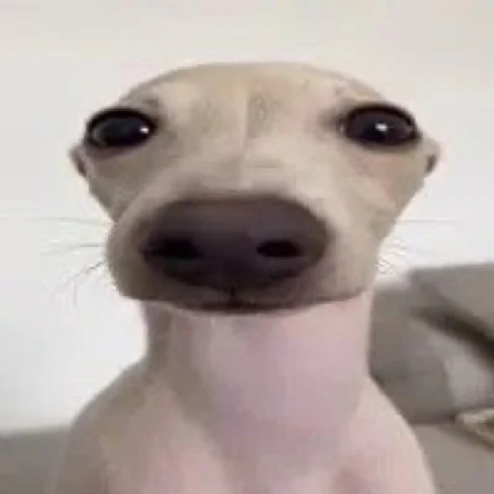 brokeasfuck.eth Ethereum Name Service (ENS and .eth domain) PFP