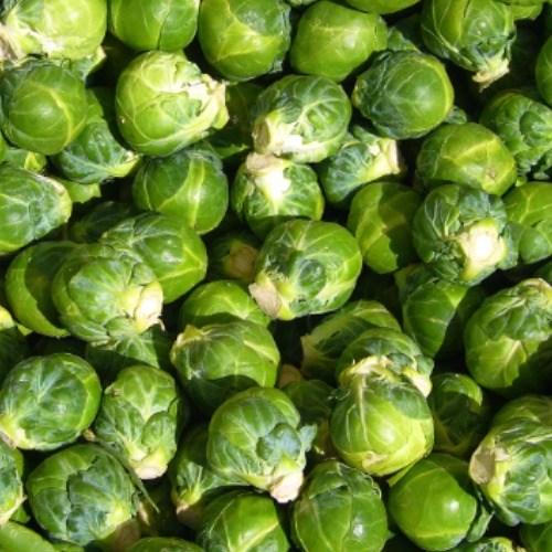 brusselssprouts.eth Ethereum Name Service (ENS and .eth domain) PFP