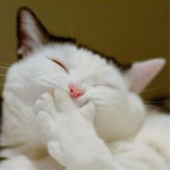 fartmaster.lens Lens social identity (.lens handle) PFP