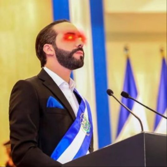 bukelecoin.eth Ethereum Name Service (ENS and .eth domain) PFP