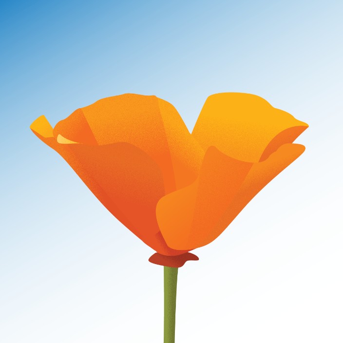 califormetry.eth Ethereum Name Service (ENS and .eth domain) PFP