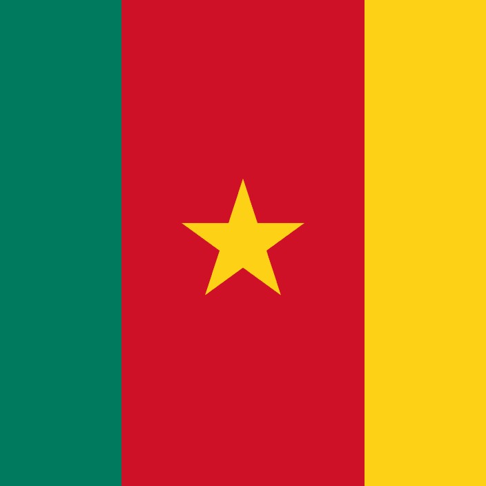 camerun.eth Ethereum Name Service (ENS and .eth domain) PFP