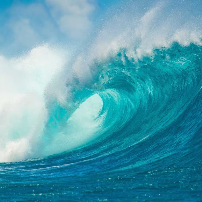 carlrunefelt.eth Ethereum Name Service (ENS and .eth domain) PFP