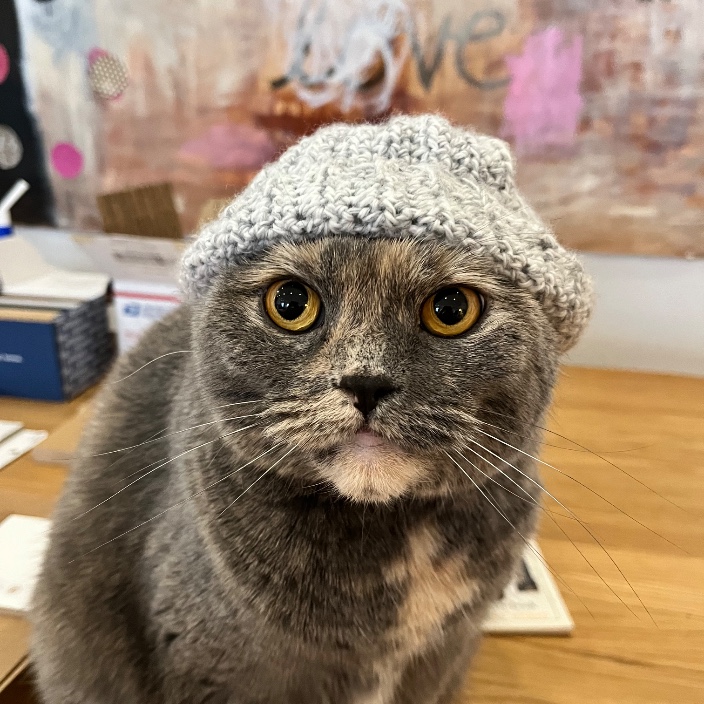 cart00n.eth Ethereum Name Service (ENS and .eth domain) PFP