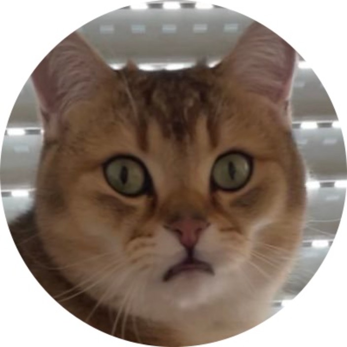 catsoverdogs.eth Ethereum Name Service (ENS and .eth domain) PFP
