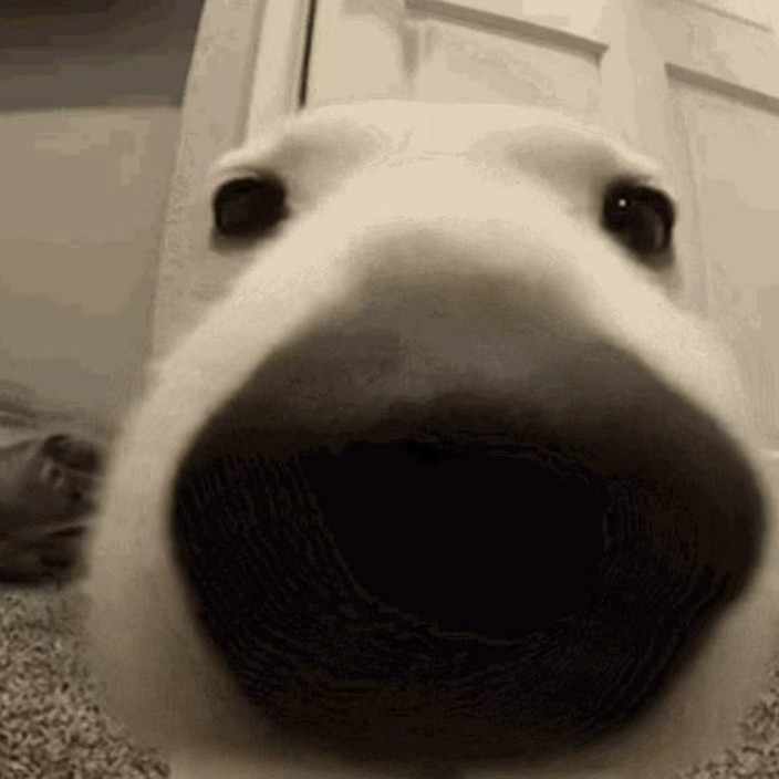 chentony2233.eth Ethereum Name Service (ENS and .eth domain) PFP