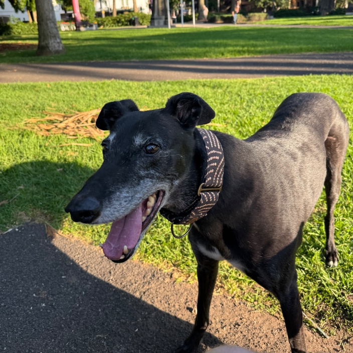 chugy.eth Ethereum Name Service (ENS and .eth domain) PFP