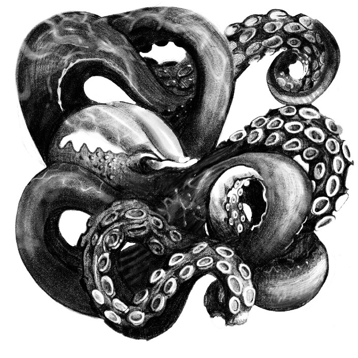 cmark0.eth Ethereum Name Service (ENS and .eth domain) PFP