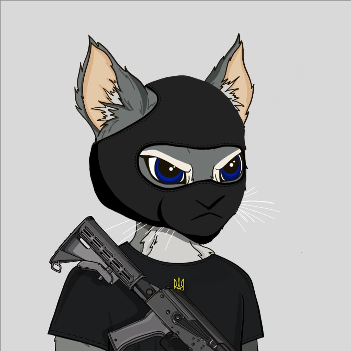 codehilation.eth Ethereum Name Service (ENS and .eth domain) PFP