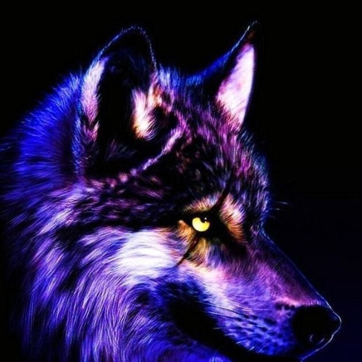 Childebert Picard (coealino.eth) Ethereum Name Service (ENS and .eth domain) PFP