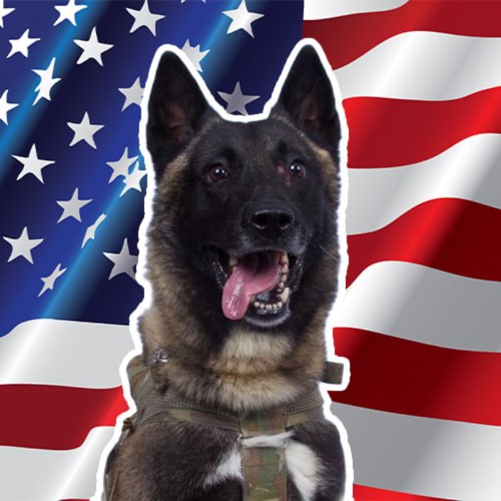 conandog.eth Ethereum Name Service (ENS and .eth domain) PFP