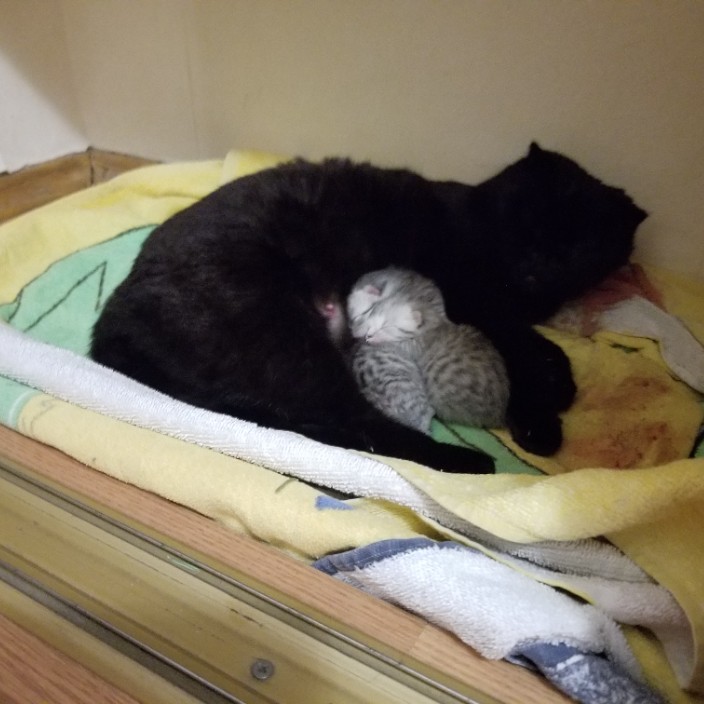 coniston.eth Ethereum Name Service (ENS and .eth domain) PFP