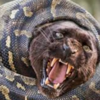 constrict.eth Ethereum Name Service (ENS and .eth domain) PFP