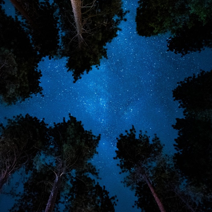 coolalien.eth Ethereum Name Service (ENS and .eth domain) PFP