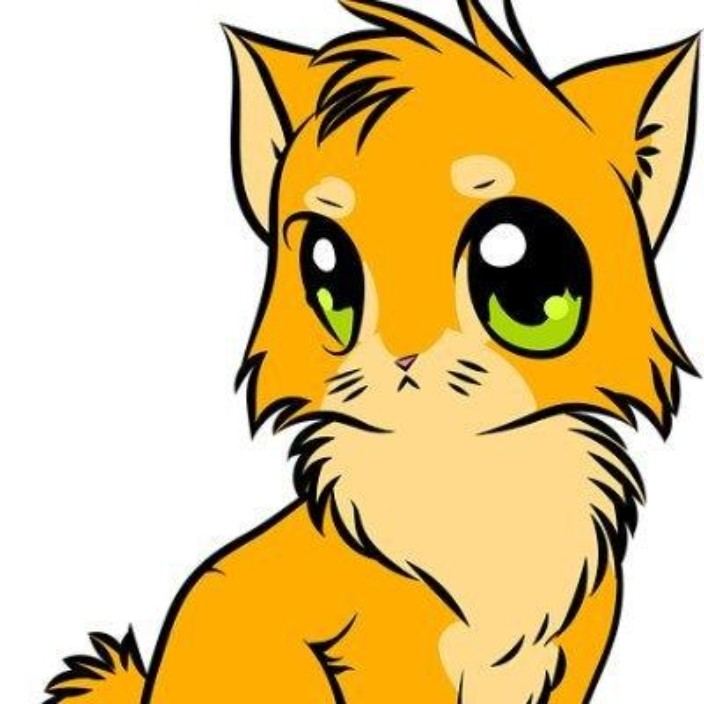 credokyument.eth Ethereum Name Service (ENS and .eth domain) PFP