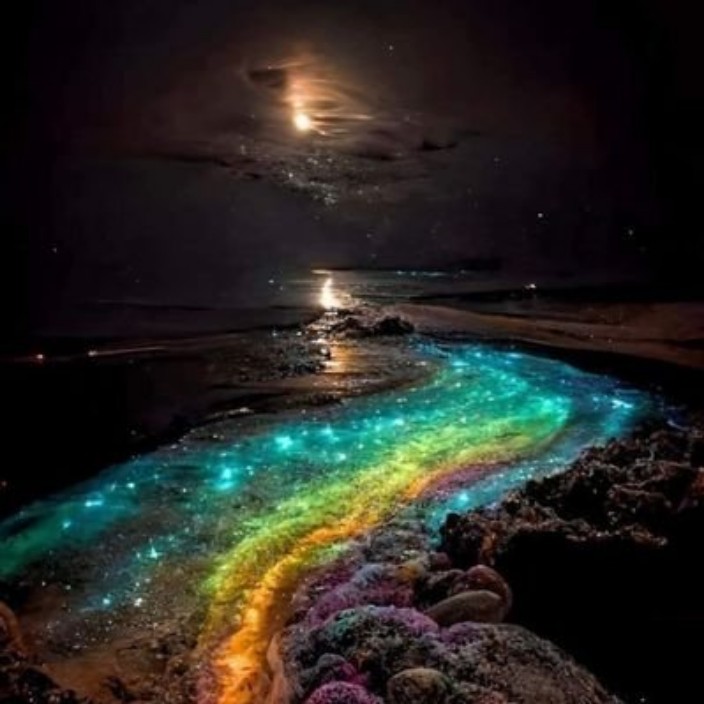 croesj.eth Ethereum Name Service (ENS and .eth domain) PFP