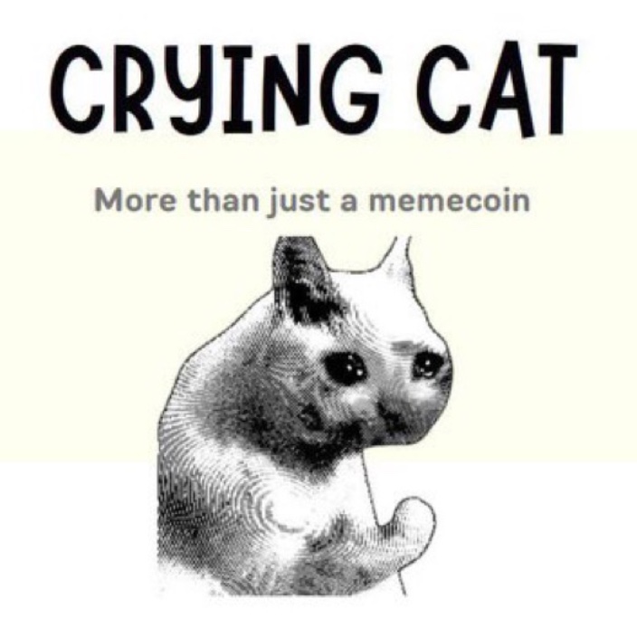 cryingcat.eth Ethereum Name Service (ENS and .eth domain) PFP