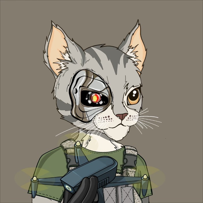 cryptocat888.eth Ethereum Name Service (ENS and .eth domain) PFP