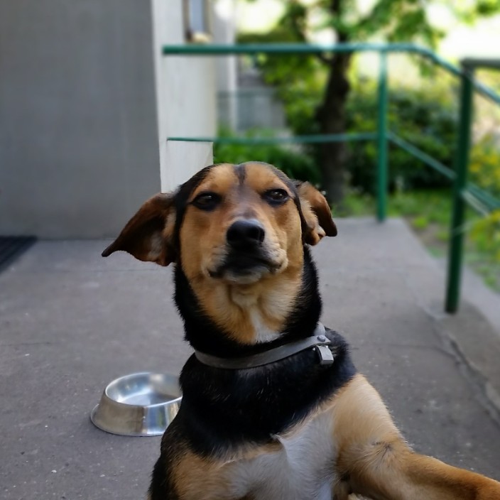 crytpohalina99 (cryptohalina.eth) Ethereum Name Service (ENS and .eth domain) PFP