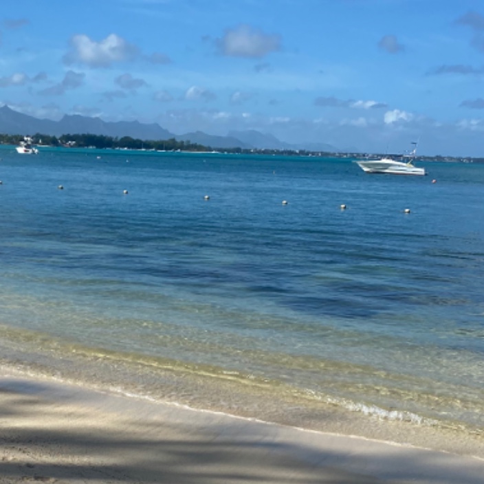 cryptorthodox.eth Ethereum Name Service (ENS and .eth domain) PFP