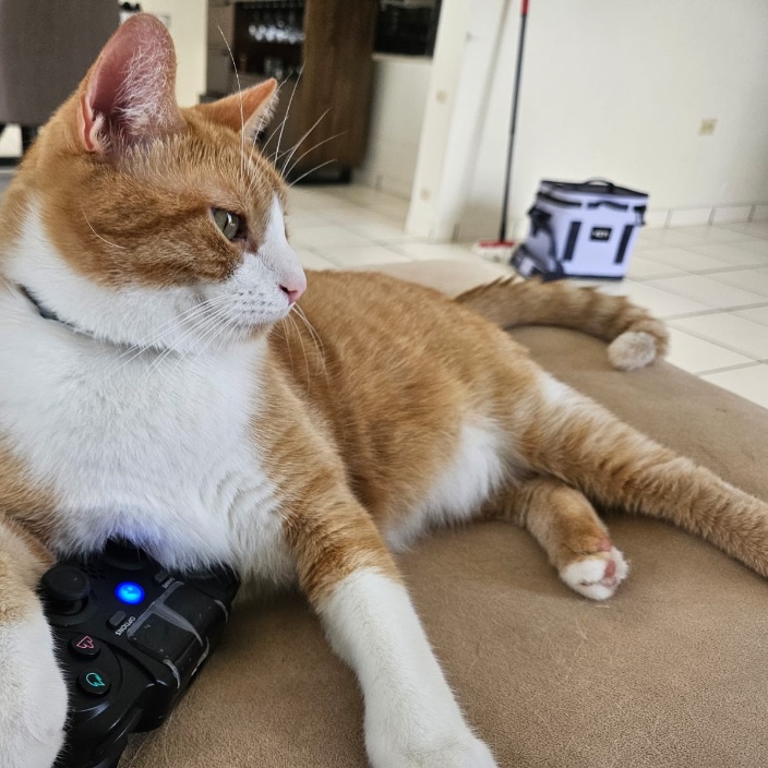 Cwild (cryptwild.linea.eth) Linea Name Service (.linea.eth domains) based on ENS PFP