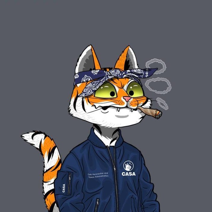 cukin.eth Ethereum Name Service (ENS and .eth domain) PFP