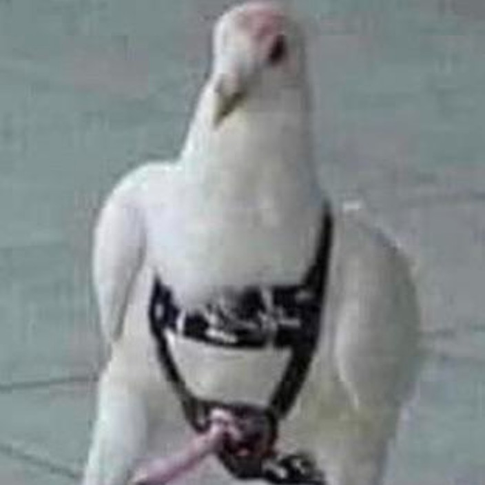 curiousguy.eth Ethereum Name Service (ENS and .eth domain) PFP