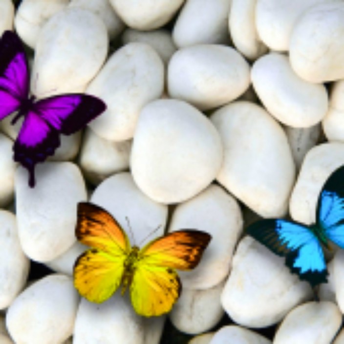 curlyspice.eth Ethereum Name Service (ENS and .eth domain) PFP