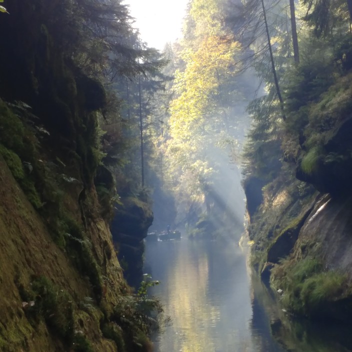 currygom.eth Ethereum Name Service (ENS and .eth domain) PFP