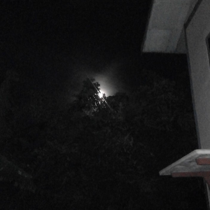 cyberbee.eth Ethereum Name Service (ENS and .eth domain) PFP