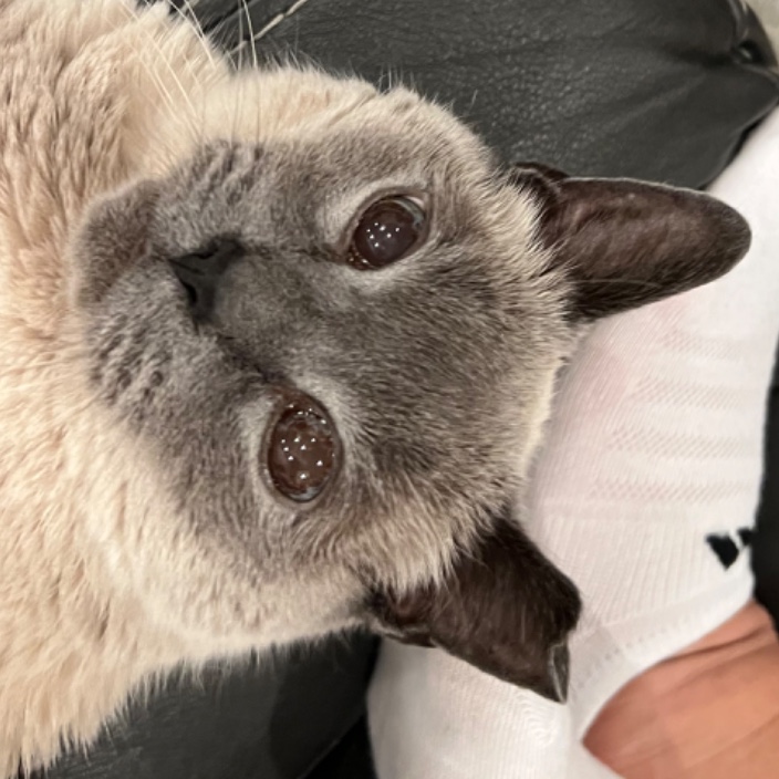 danhazcrypto.eth Ethereum Name Service (ENS and .eth domain) PFP