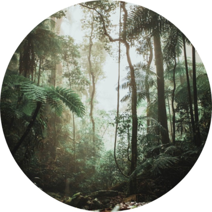 darienadvisors.eth Ethereum Name Service (ENS and .eth domain) PFP