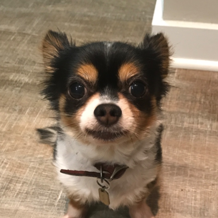 darknetdaddy.eth Ethereum Name Service (ENS and .eth domain) PFP