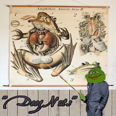 deezpepenuts.eth Ethereum Name Service (ENS and .eth domain) PFP