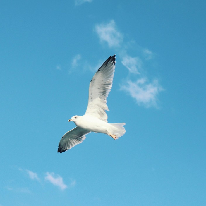 digitalnotes.eth Ethereum Name Service (ENS and .eth domain) PFP