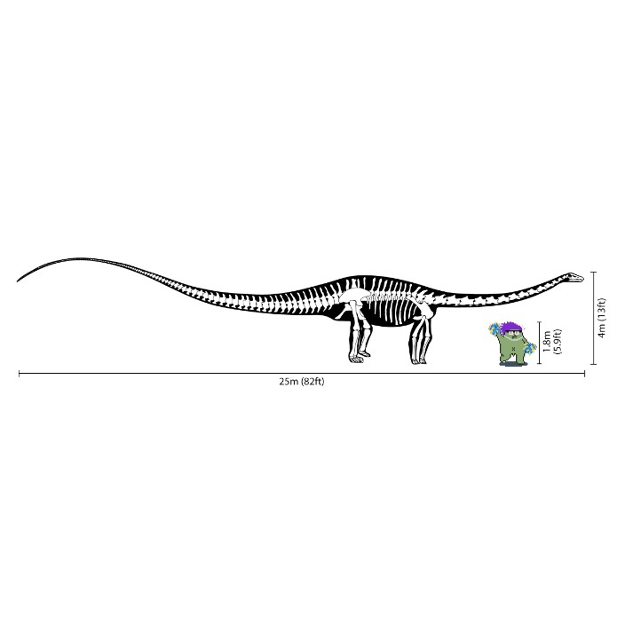 diplodocus.eth Profile Photo