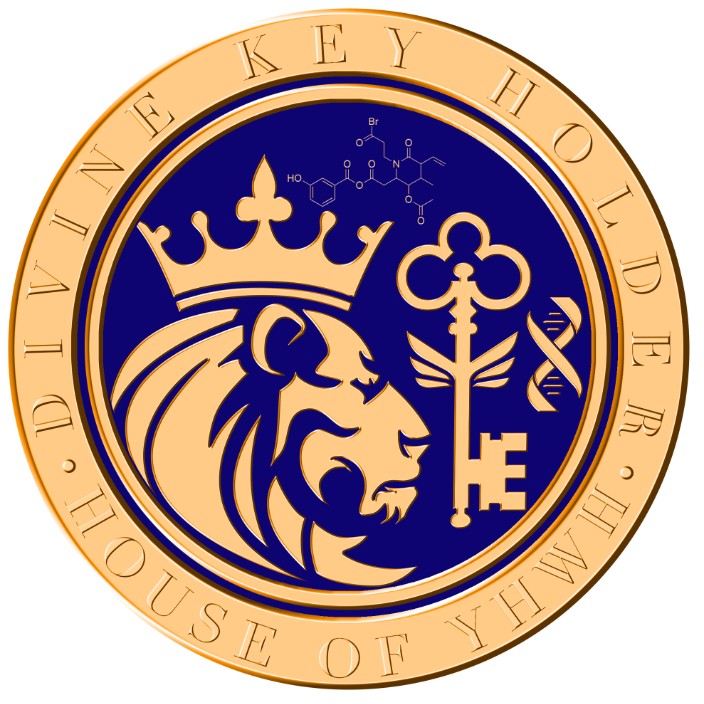 Intergalactic Sovereign Final Execution (divinekeyholder.eth) Ethereum Name Service (ENS and .eth domain) PFP