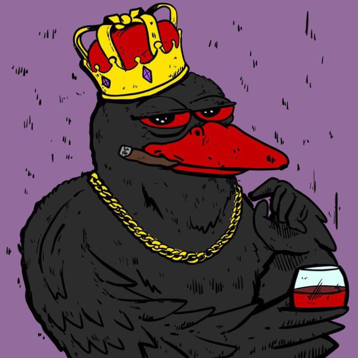 dodocapital.eth Ethereum Name Service (ENS and .eth domain) PFP