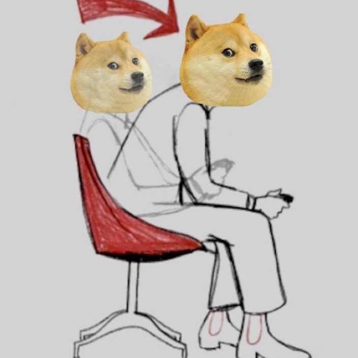 dogedesigner.eth Ethereum Name Service (ENS and .eth domain) PFP