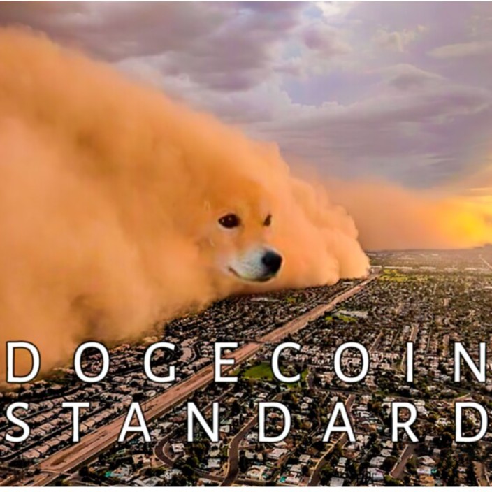 dogestandard.eth Ethereum Name Service (ENS and .eth domain) PFP