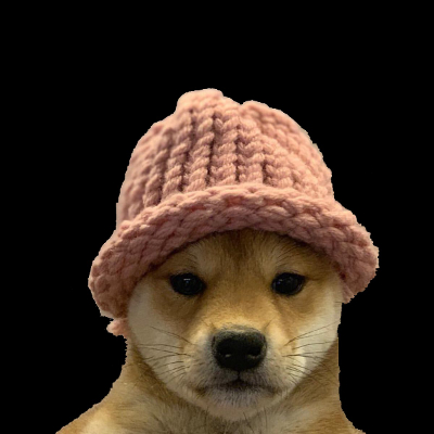dogwifcoin.eth Ethereum Name Service (ENS and .eth domain) PFP