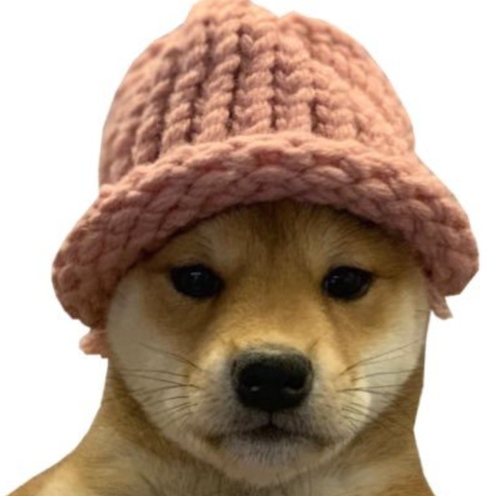 dogwifhood.eth Ethereum Name Service (ENS and .eth domain) PFP